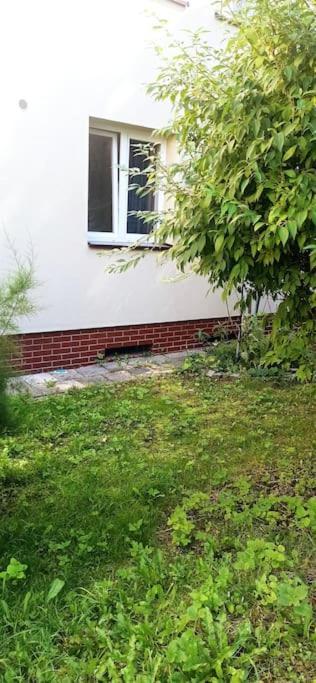 Apartment Rajzefiber - Spodek - Mck - Nospr *
